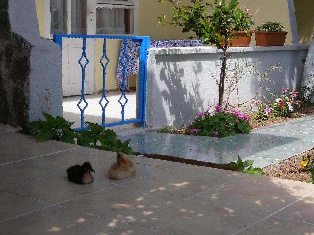 Eysan Pansiyon Akcay  Luaran gambar